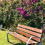 Apartamento 3 - Proche Du Port De Cabopino A Marbella